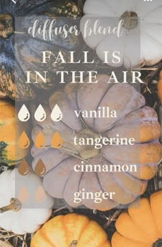 Home Smell Like Fall, Smell Like Fall, Fall Essential Oil Blends