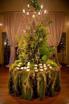 a moss covered table with place cards on it in front of a curtained window