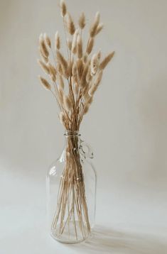 dried flowers in a glass jar on a white background