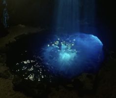 an underwater view of the ocean with light coming from it's surface and blue water