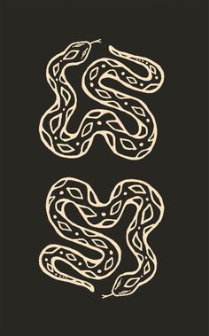 the letter s is made up of two snakes, one with its tail curled back