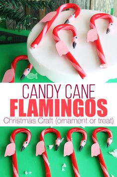 candy cane flamingos for christmas craft or treat