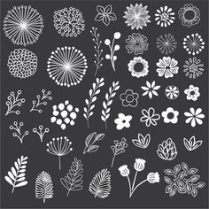 various flowers and leaves drawn in white ink on a black background stock photo - budget conscious