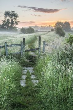 an old wooden gate in the middle of a field