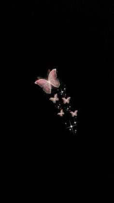 some pink butterflies flying in the dark