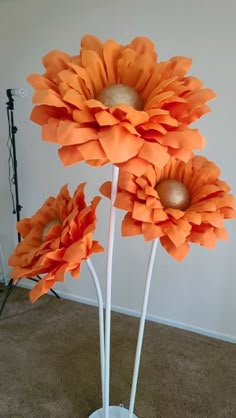 three orange flowers in a white vase on the floor next to a wall and carpet