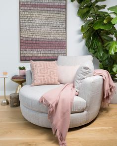 a living room filled with furniture and a large plant