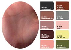 an image of the color swatches for different shades of brown, pink, yellow and green