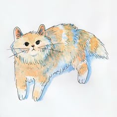 a drawing of a cat with blue eyes and long whiskers on it's tail