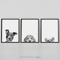 three dogs are hanging on the wall with their faces in black and white frames,