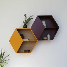 two shelves on the wall with vases and other items in them next to a potted plant