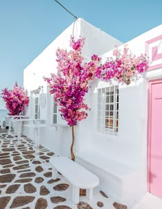 a white bench sitting in front of a pink door and window next to a tree