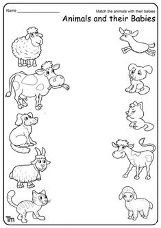 an animal and their babies worksheet for children to learn how to read the animals