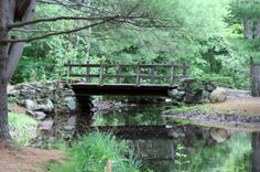 a wooden bridge over a small stream in the woods