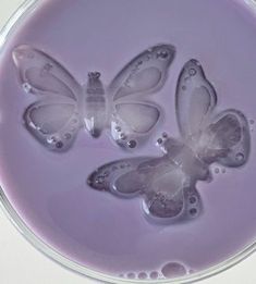 three butterflies are floating in water on a purple substance that appears to be made from liquid