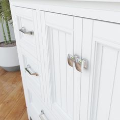 a white cabinet with two doors and three drawers on the bottom, in front of a potted plant