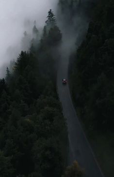 a car driving down a road surrounded by trees in the middle of foggy weather