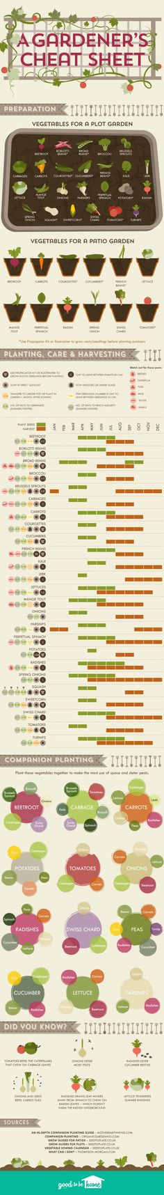 an info sheet showing the different types of food in each country, including meats and vegetables