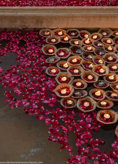 many candles are placed on the ground with petals around them and water in the background