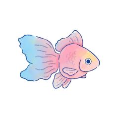 a drawing of a goldfish on a white background