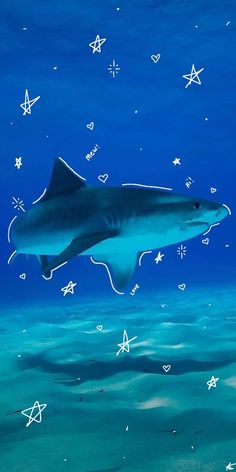 a painting of a shark swimming in the ocean with stars and symbols all over it