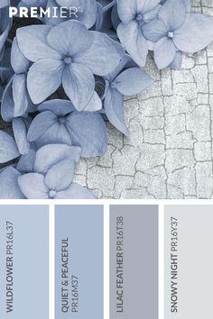 the color scheme is blue and gray, with some flowers on it's side