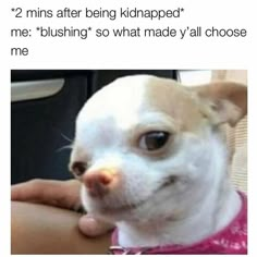 This Instagram Account Celebrates Hilariously Sarcastic Memes, Here Are 50 Of The Best Memes Sarcastic, Fresh Memes, Funny Animal Jokes, Chuck Norris, Cute Memes, Animal Jokes