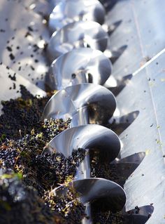 several spoons are lined up on the side of a metal table filled with grapes