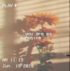 a blurry photo of a flower with the words you are my sunshine on it