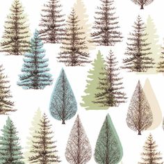 the different types of trees are depicted in this pattern