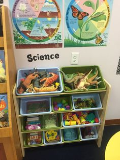 there are many toys in bins on the shelf next to eachother that is labeled science