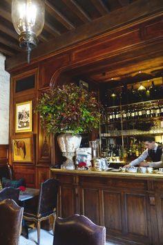 a bar with chairs and a potted plant on the counter in front of it