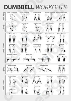 the dumbbell workout chart shows how to do it