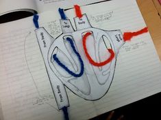 a drawing of a heart with red, white and blue markers on it's side