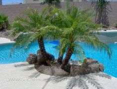 a palm tree in the middle of a swimming pool with rocks and trees around it