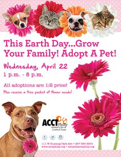 this earth day grow your family adopt a pet