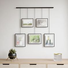 a white wall with pictures hanging on it's sides and a plant in the middle