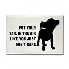 a card with a dog saying put your tail in the air like you just don't care