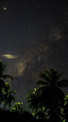 the night sky is filled with stars and palm trees, as well as an object in the distance