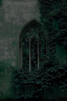 an old building with ivy growing on it's side and a window in the middle