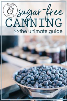 blueberries in a bowl on the stove with text overlay reading sugar - free canning the ultimate guide