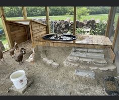 chickens and ducks in an enclosed area with stone steps, water trough and chicken coop