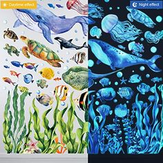 two panels with different sea animals and fish on them