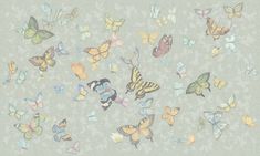 a group of butterflies flying through the air on a gray wallpapered background with white and blue flowers