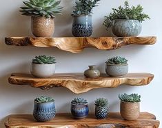 there are many potted plants on the shelves