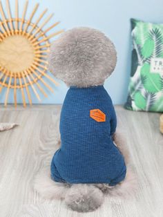 a small dog wearing a blue sweater with an orange patch