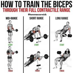 a poster showing how to train the biceps through their full contact with each other