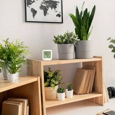 some plants and books are sitting on a shelf