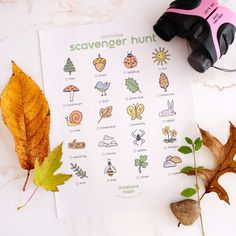 a leaf, binoculars and some leaves on a white table with the words scavenger hunt