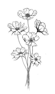 three flowers are shown in this black and white drawing by artist, mary - ann